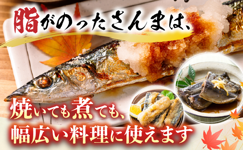 甘塩紅鮭5切×4P、冷凍生さんま5尾×4Pセット C-30015