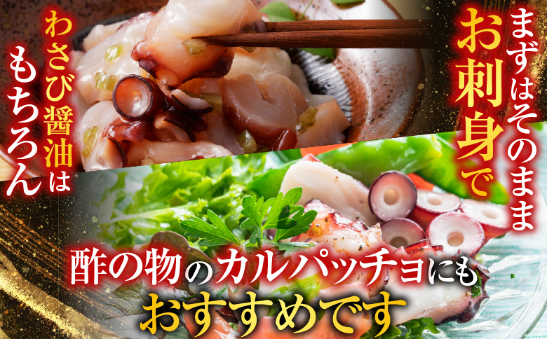 【北海道根室産】お刺身用たこ足2本(計2～2.5kg) C-30069