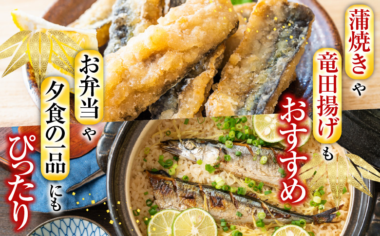 ＜12月21日決済分まで年内配送＞【北海道根室産】冷凍さんま60尾 D-70002