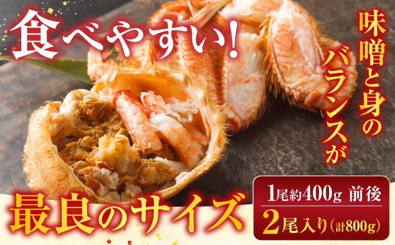 【北海道根室産】ボイル毛がに2尾(計800g) F-42016