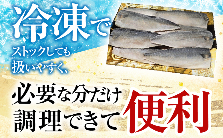 塩さばフィーレ11枚入×1P(計約1.5kg) G-14021