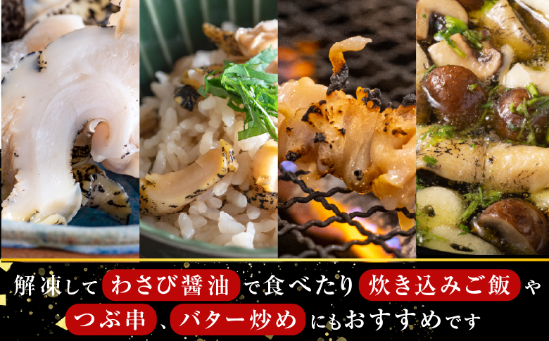 【北海道根室産】生食用灯台つぶ(ボイル済)250g×2P(計500g) G-14040