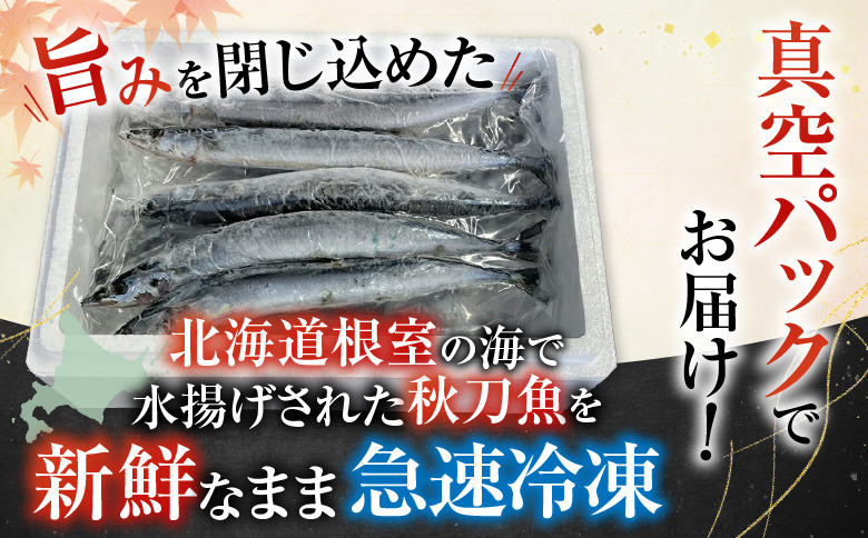 ＜12月21日決済分まで年内配送＞【北海道根室産】冷凍生さんま5尾×2P G-30001