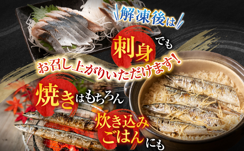 【北海道根室産】冷凍生さんま5尾×2P G-36001