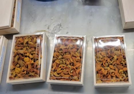 エゾバフンウニ(赤系)150g×1折 A-71043