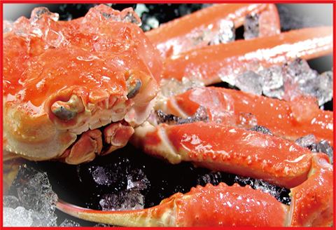 ＜12月21日決済分まで年内配送＞北海三大カニセット(たらばがに足、毛ガニ、ずわい) D-07002