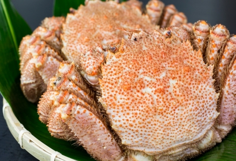 毛蟹600g×3尾 D-66013