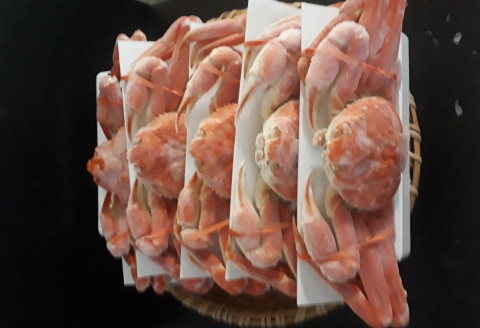 ずわい蟹600g×5尾 D-66014