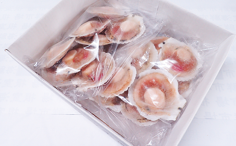 ＜12月10日決済分まで年内配送＞＼漁業者応援品／片貝ほたて10枚×2P A-11121