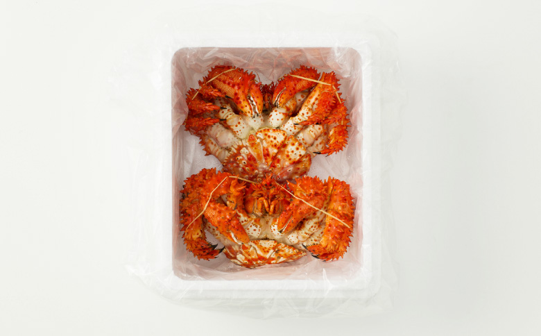 ＜12月21日決済分まで年内配送＞【北海道根室産】花咲かに500g前後×2尾 A-19010