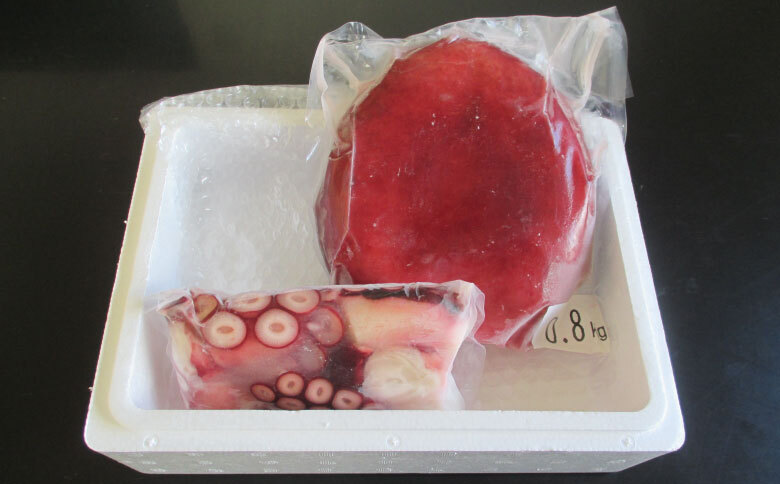 ＜12月21日決済分まで年内配送＞【北海道根室産】ボイルたこ足(ぶつ切り)・頭セット A-19013