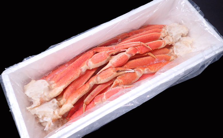 ＜12月10日決済分まで年内配送＞根室海鮮市場＜直送＞ボイル本ずわいがに脚5肩(計約1.2kg) A-28248