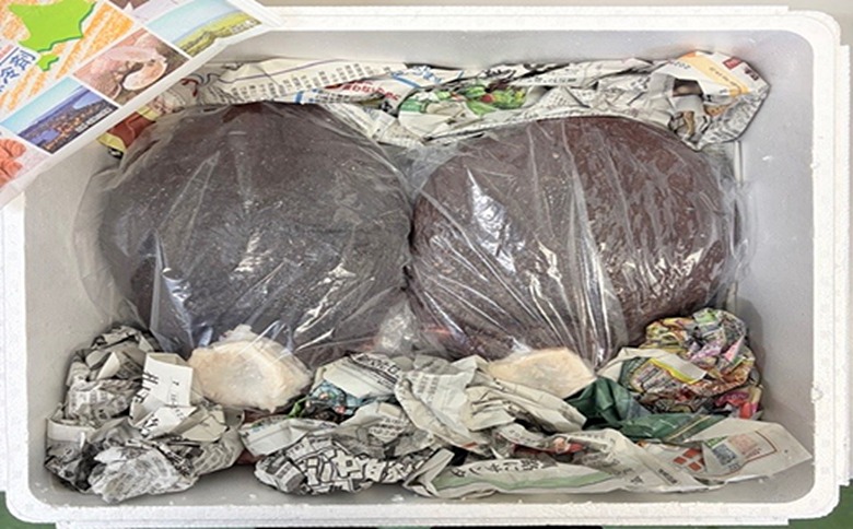 【北海道根室産】真ダコ頭2.8～3kg A-29011