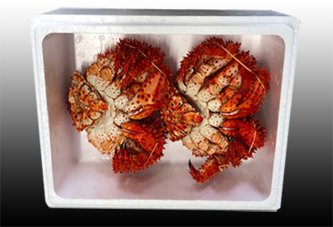 ＜12月21日決済分まで年内配送＞【北海道根室産】花咲かに400g前後～600g前後×2尾 A-36029