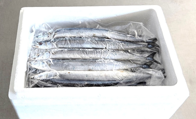 【北海道根室産】冷凍生サンマ20尾（真空パック5尾入×4P） A-40019