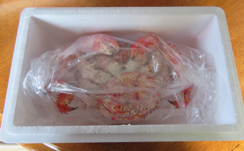 【12/31決済分まで1月中配送】 【北海道根室産】ボイル冷凍花咲がに600g×1尾 A-59019