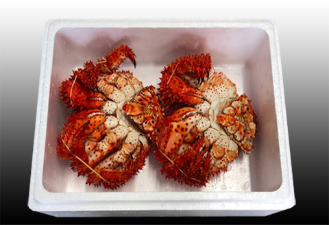 ＜12月21日決済分まで年内配送＞【北海道根室産】花咲かに400g前後～600g前後×2尾 A-70030