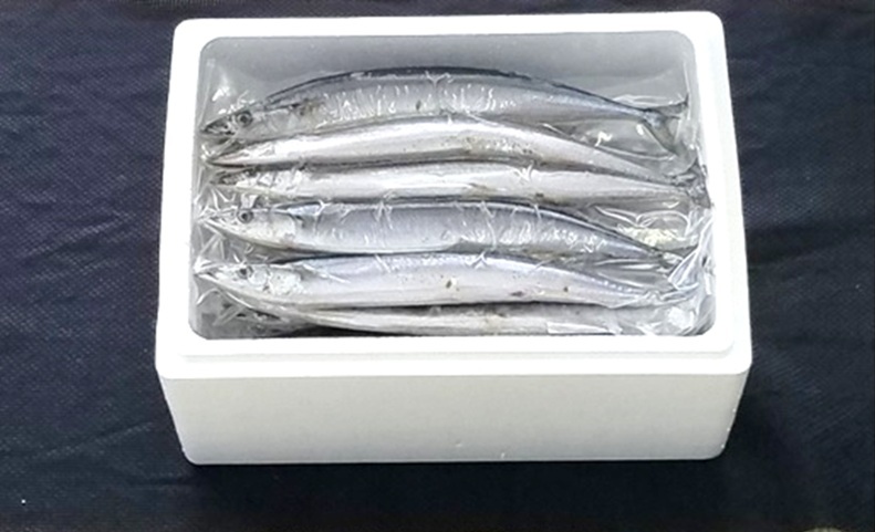 【北海道根室産】冷凍生サンマ20尾（真空パック5尾入×4P） A-71050