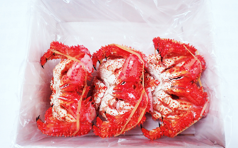 ＜12月10日決済分まで年内配送＞【北海道根室産】花咲ガニ400～500g×3尾 B-14122