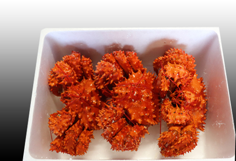 ＜12月21日決済分まで年内配送＞【北海道根室産】花咲かに400g前後～550g前後×3尾 B-30015