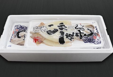 ＜12月17日決済分まで年内配送＞いか一夜干し2枚×5P B-32051