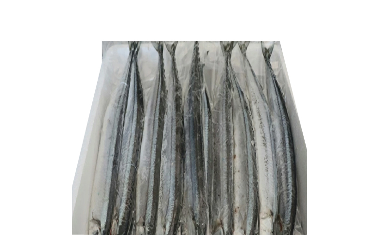 【北海道根室産】冷凍さんま30尾 B-36005