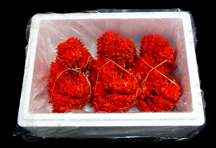 ＜12月21日決済分まで年内配送＞【北海道根室産】ボイル花咲かに3～6尾(計約2kg) B-42088
