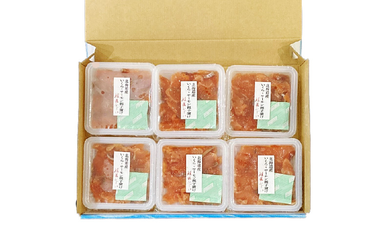 ＜鮭匠ふじい＞いくら・サーモン親子漬け80g×10P(小分け) B-42102