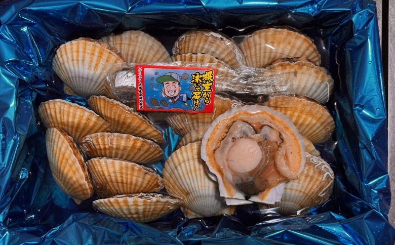 ＜12月21日決済分まで年内配送＞【北海道根室産】活ホタテ貝20枚(計3.5kg～4kg) B-45016