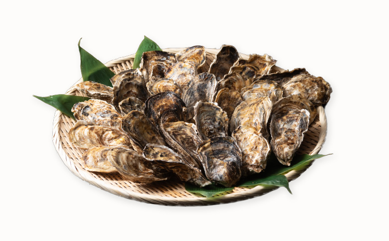 ＜12月21日決済分まで年内配送＞【北海道根室産】貝付き牡蠣30個[11月上旬以降発送] B-54006