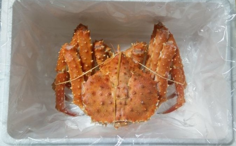 【北海道根室産】本タラバガニ600g前後×1尾 B-57029