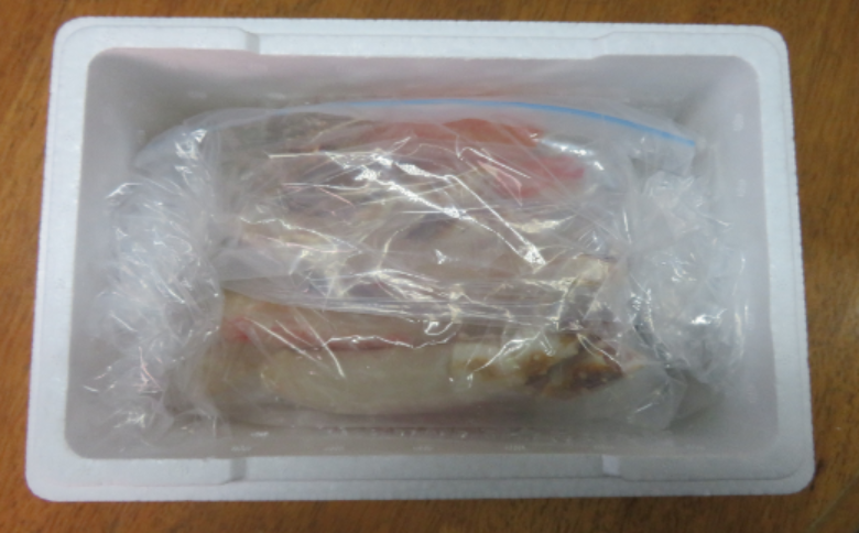 【北海道根室産】生冷凍たらばがに棒ポーション500g B-59021