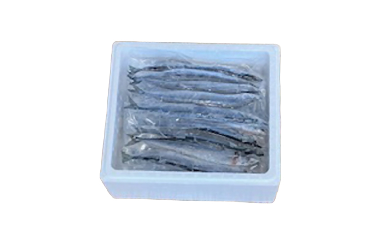 【北海道根室産】冷凍さんま5尾×6P(計30尾) B-76001