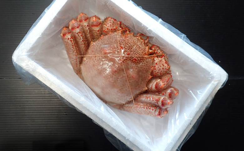 ボイル毛がに600～750g×1尾 C-14033