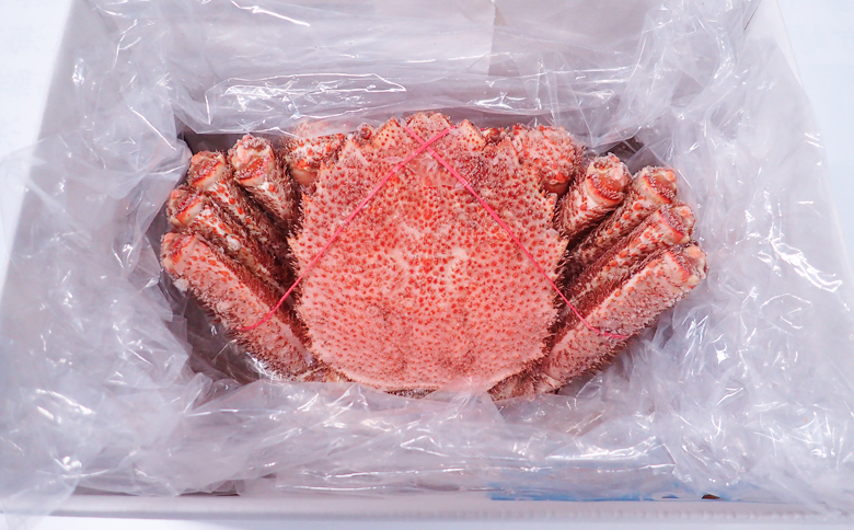 ＜12月10日決済分まで年内配送＞ボイル毛がに700～900g×1尾 C-14059