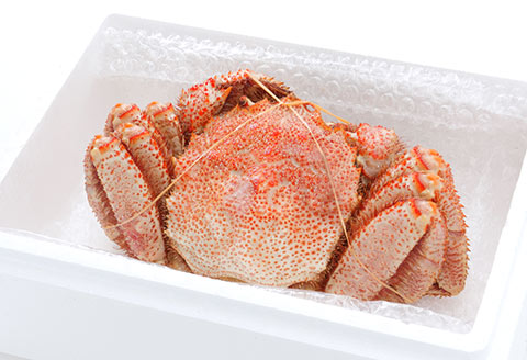 ＜12月21日決済分まで年内配送＞毛がに800g～1kg C-25025