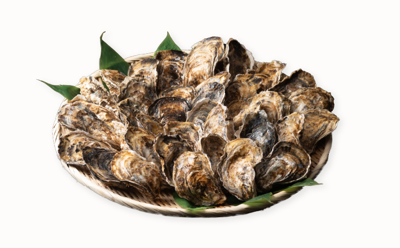 【北海道根室産】貝付き牡蠣40個 C-54008