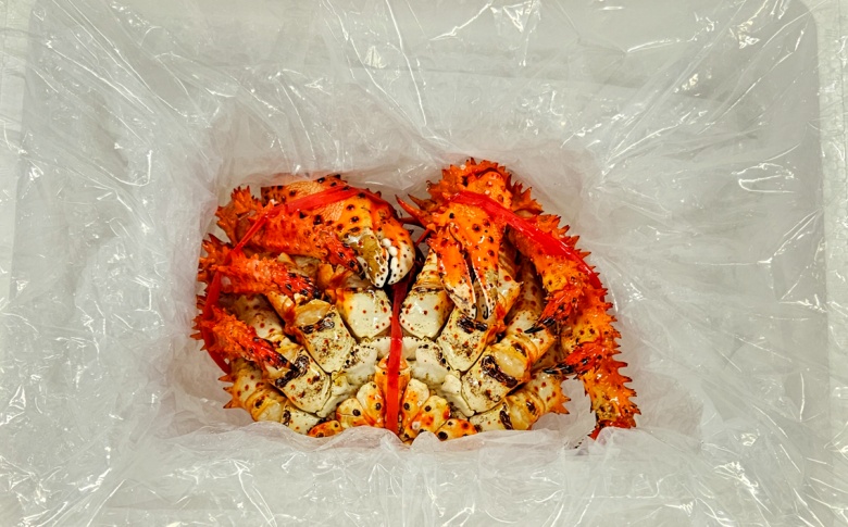 ＜12月10日決済分まで年内配送＞【北海道根室産】ボイル冷凍花咲ガニ姿800g前後×1尾 C-66024