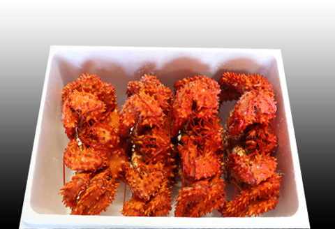 ＜12月21日決済分まで年内配送＞【北海道根室産】花咲かに400g前後～500g前後×4尾 C-70031