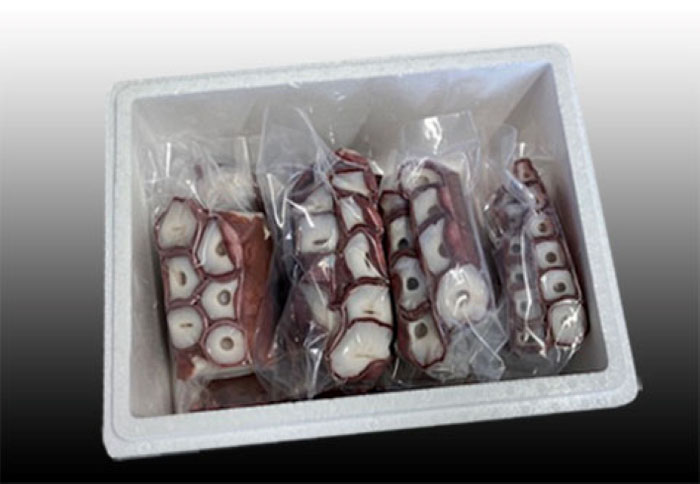 ＜12月21日決済分まで年内配送＞【北海道根室産】たこ足ブロック7～11P(計2kg前後～2.5kg前後) C-70076