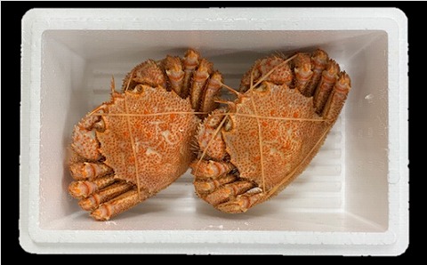 【12/31決済分まで1月中配送】 ボイル毛がに700g×2尾 D-01064