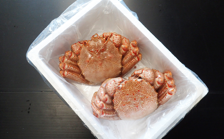 根室海鮮市場＜直送＞ボイル毛がに700～900g×2尾 D-28055