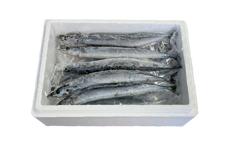 ＜12月21日決済分まで年内配送＞【北海道根室産】冷凍さんま60尾 D-30002