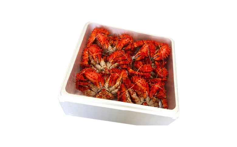 【北海道根室産】花咲かに500～650g×6尾 D-30043