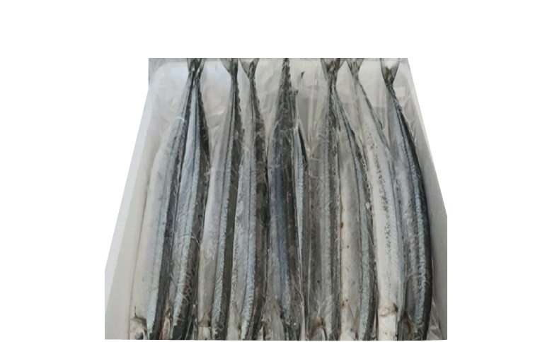 【北海道根室産】冷凍さんま60尾 D-36002