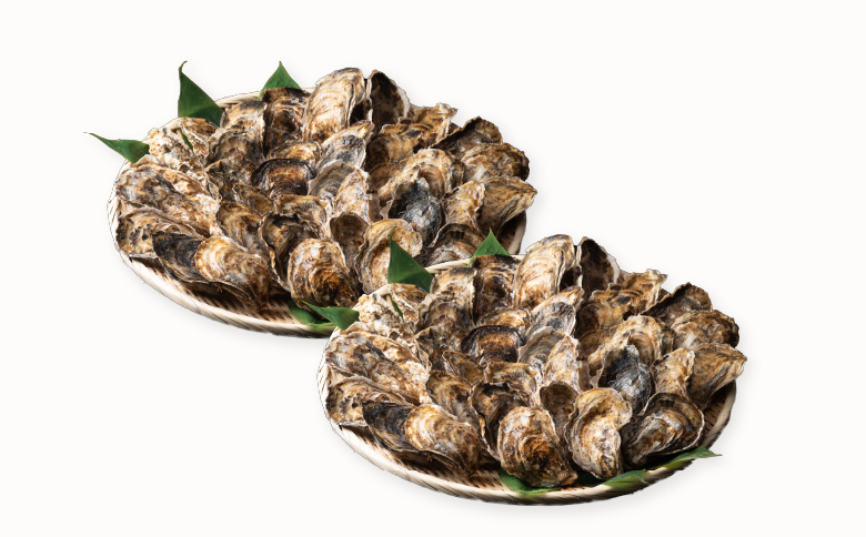 ＜12月21日決済分まで年内配送＞【北海道根室産】貝付き牡蠣80個[11月上旬以降発送] D-54008