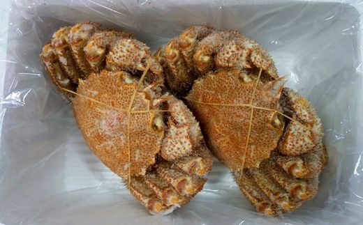 ＜12月21日決済分まで年内配送＞【北海道根室産】毛がに2尾(計1.3kg前後) D-57048