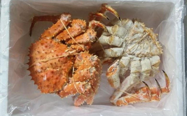 ＜12月21日決済分まで年内配送＞【北海道根室産】本タラバガニ2尾（計1.6kg前後） D-57049