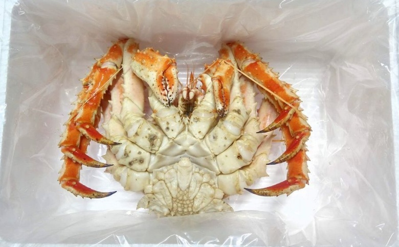 ＜12月21日決済分まで年内配送＞【北海道根室産】(チルド便)本タラバガニ900g前後×1尾 D-57050