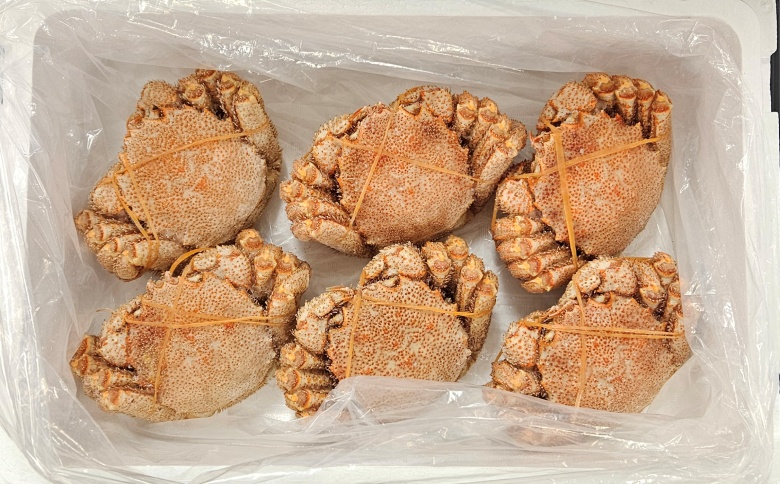 冷凍ボイル毛蟹 360g前後×6尾 D-66016